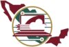 Web del Bienestar